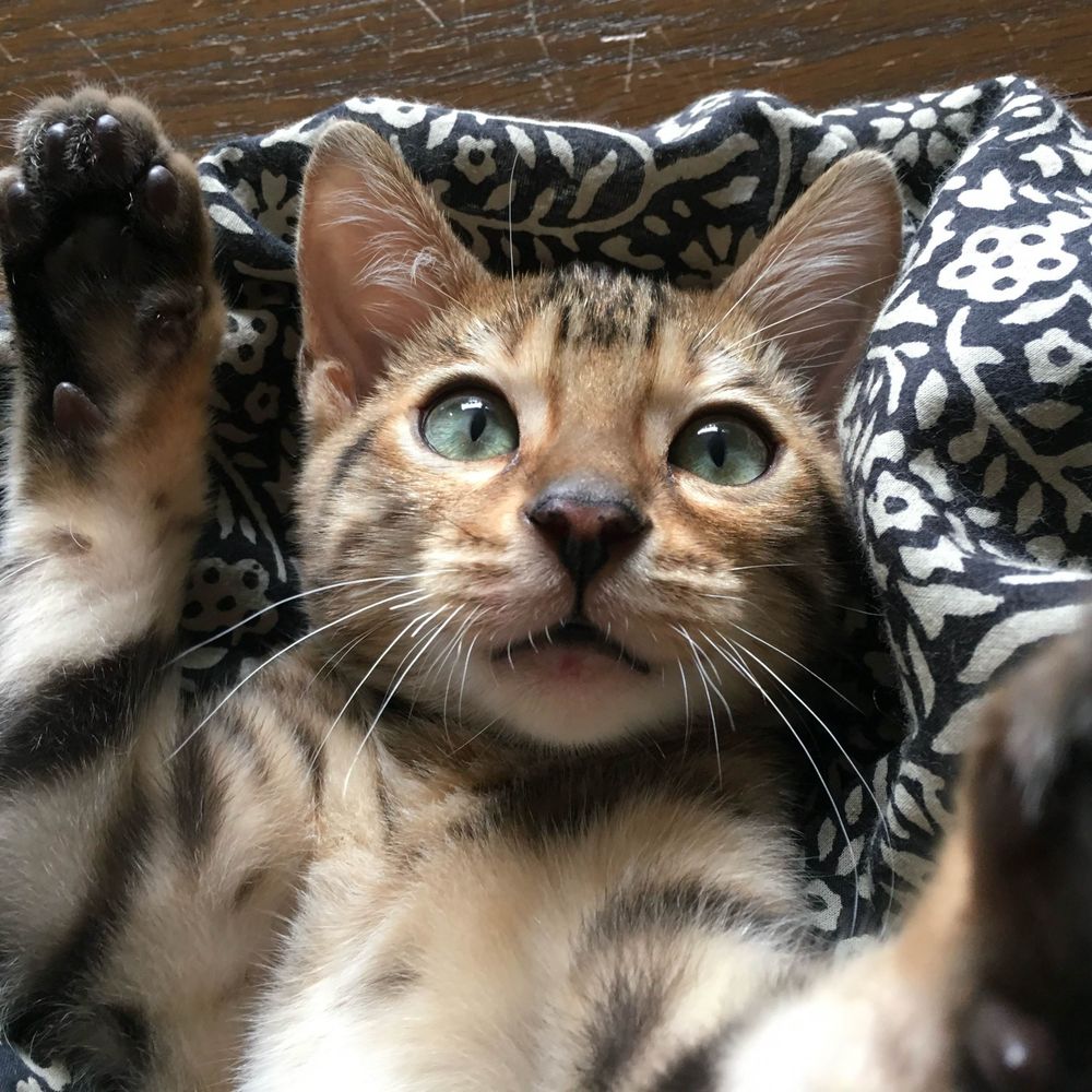さっつん