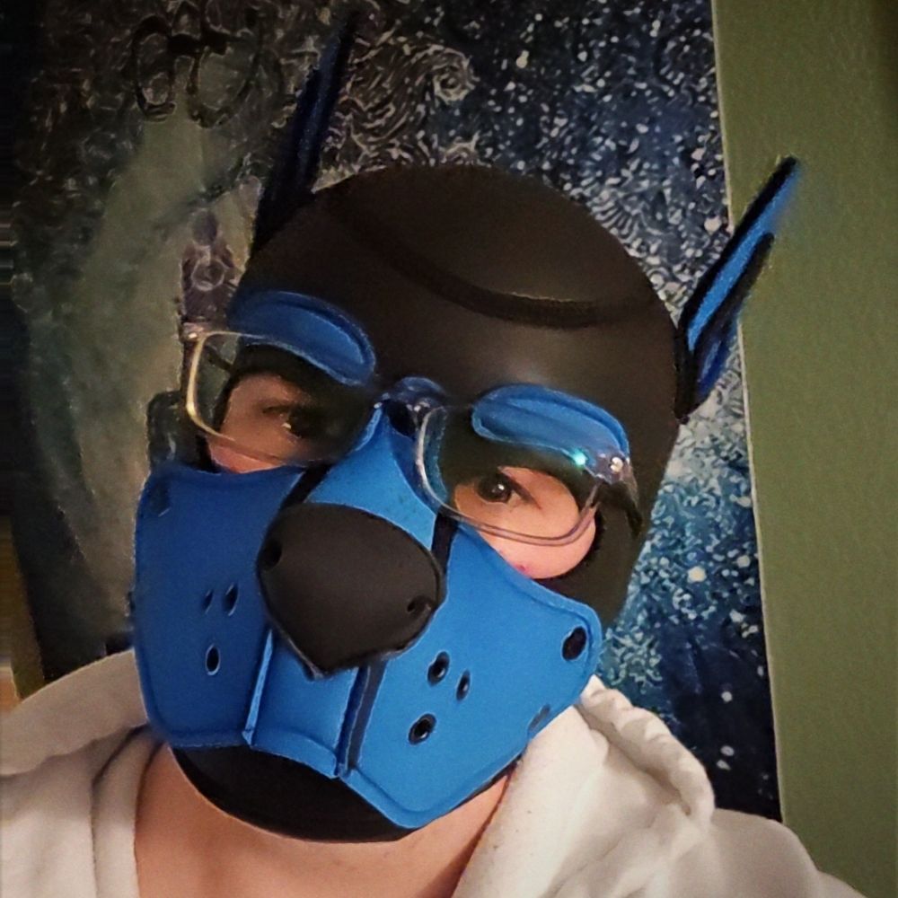 Pup Blue Bolt