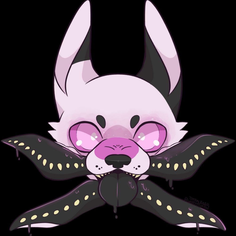 🦊🌟