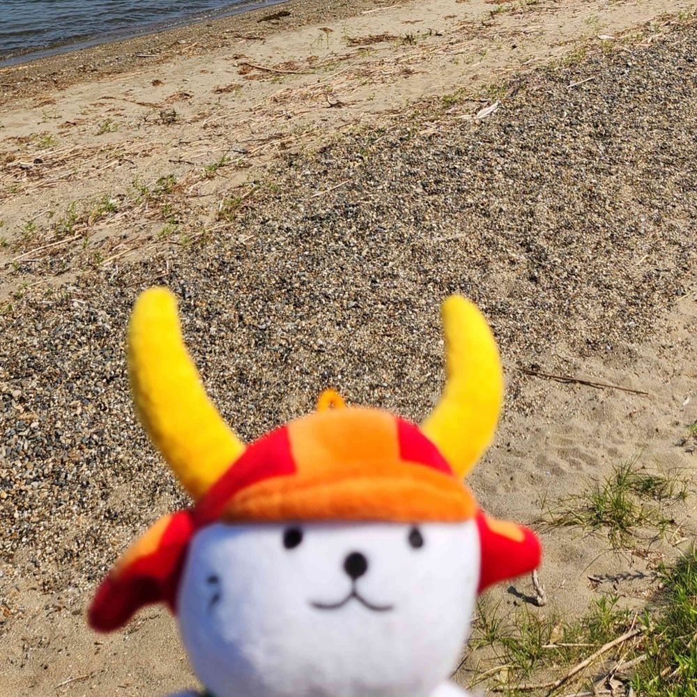 ちゃちゃずけ
