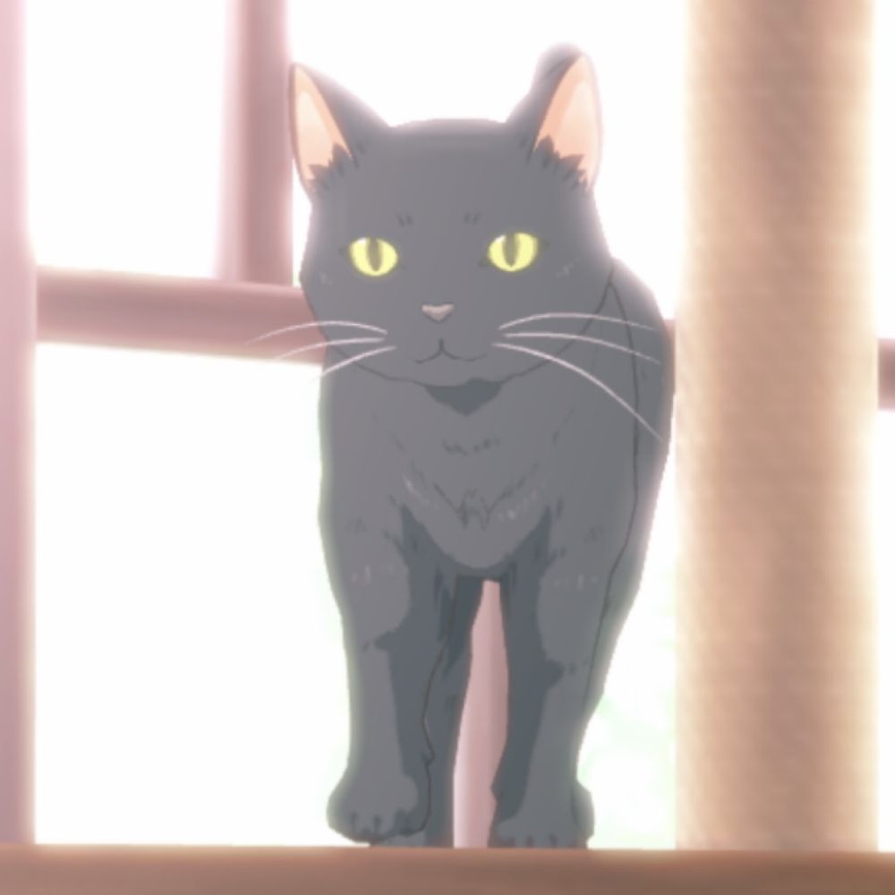 🦋🐈‍⬛与壱🍎🦋