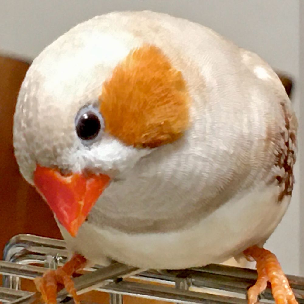 ゆとか＊