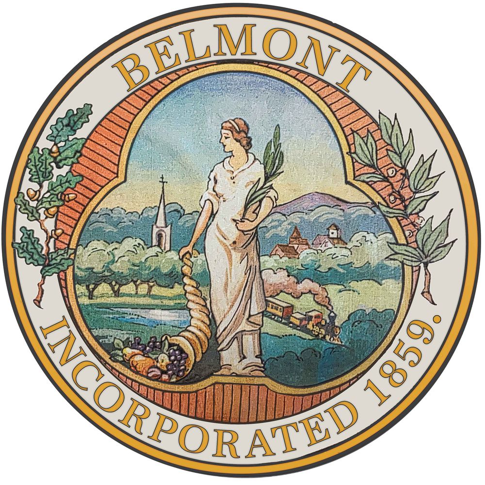 Profile picture belmont-ma.gov