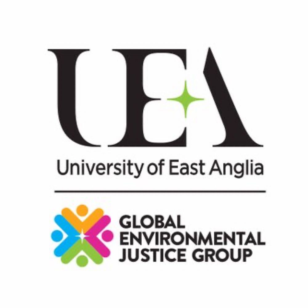 Global Environmental Justice Group