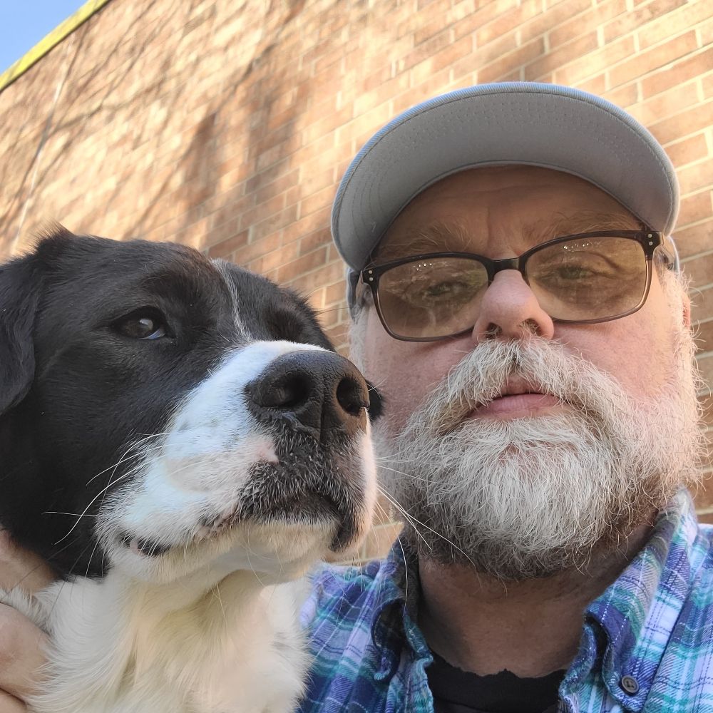 CivicBear