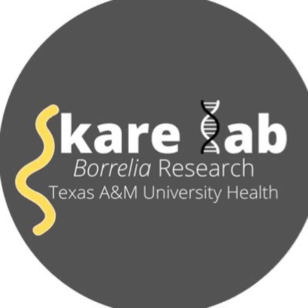 Jon Skare Lab