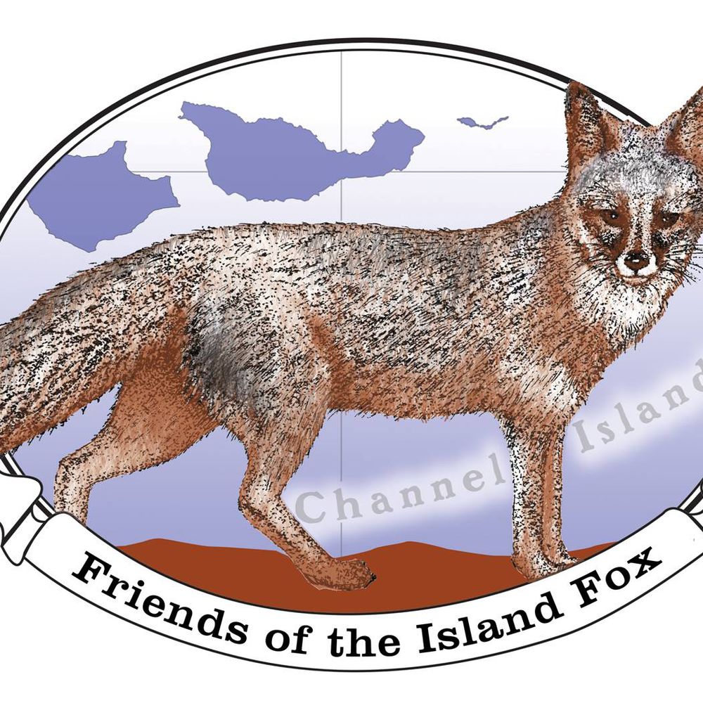 Friends of the Island Fox