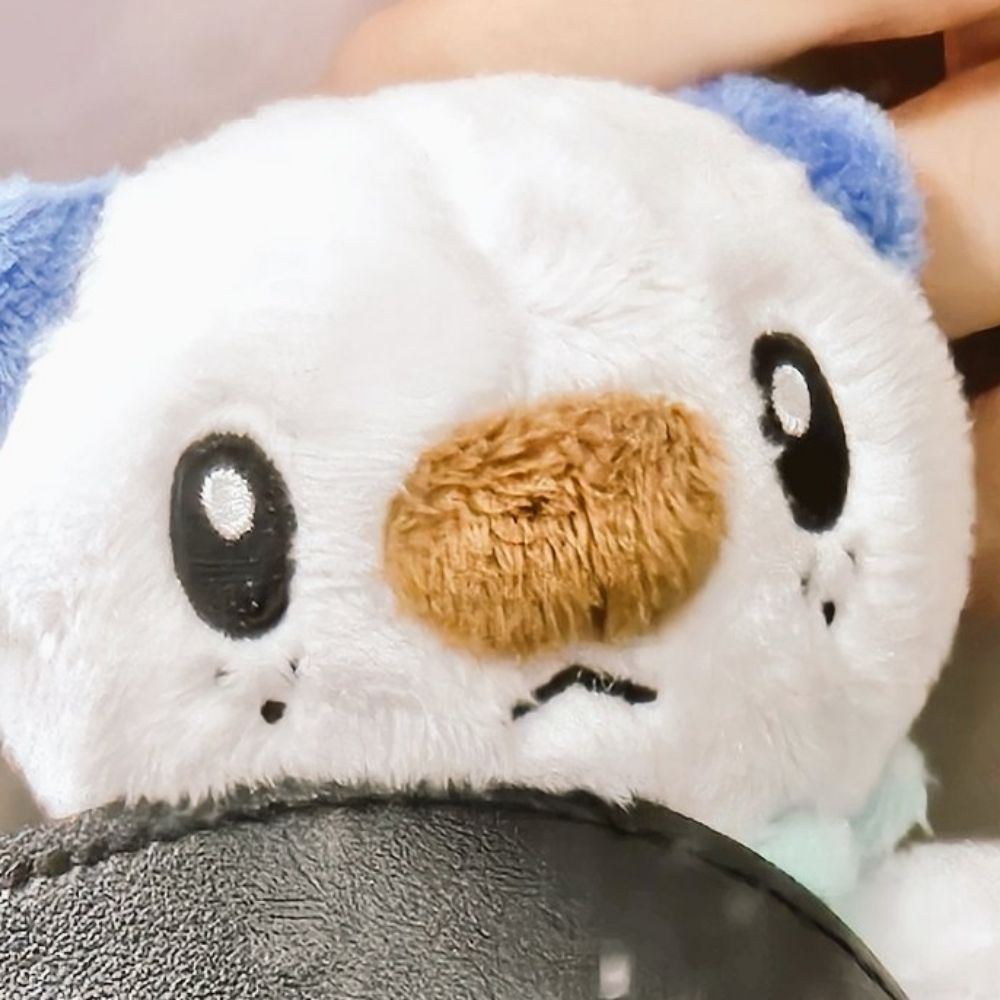쉥쉐