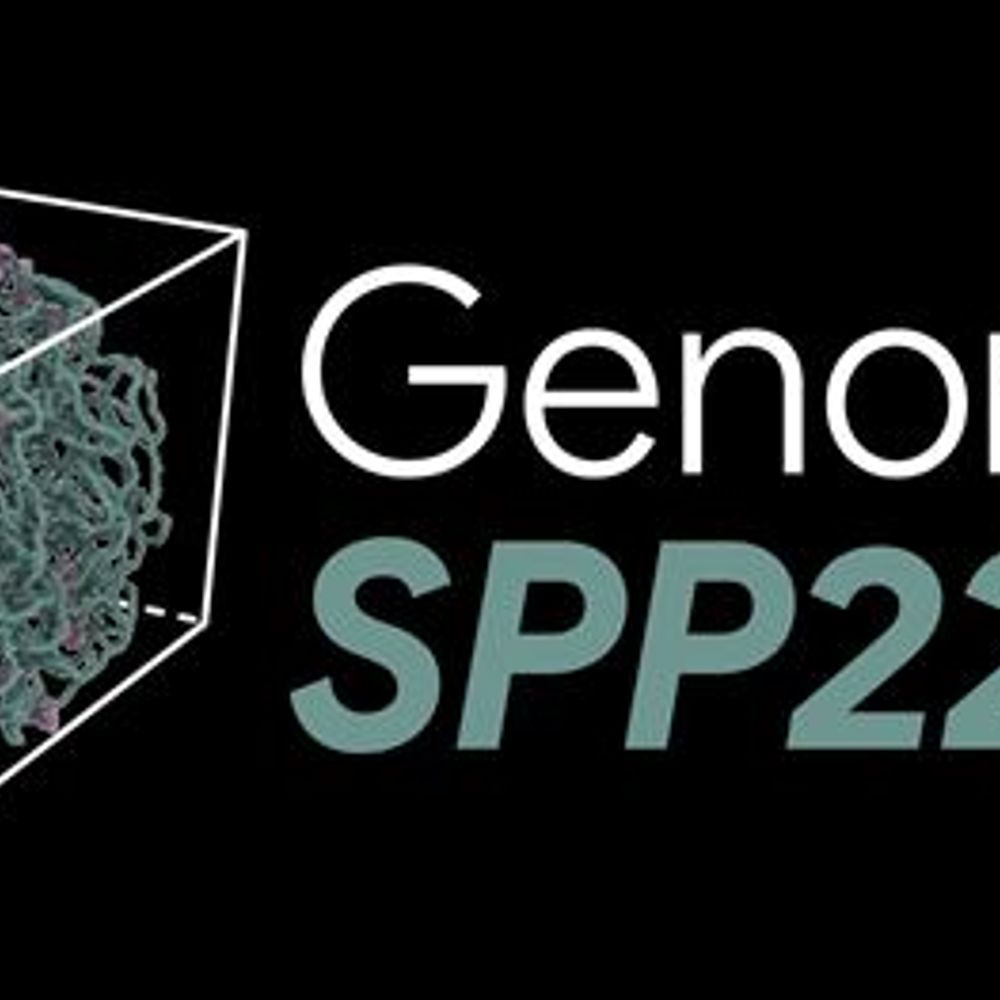 SPP2202 "Spatial Genome Architecture in Development & Disease"