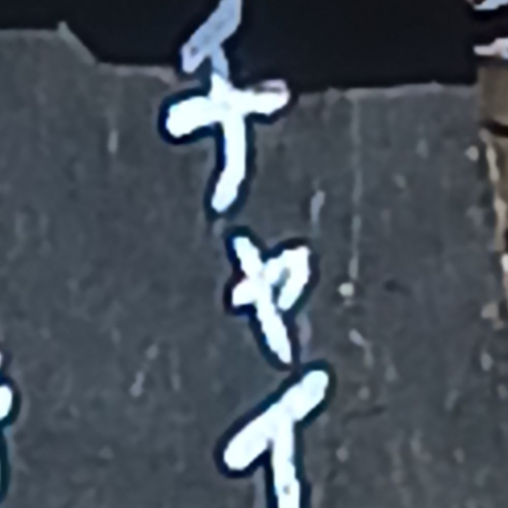 とりとり🍜