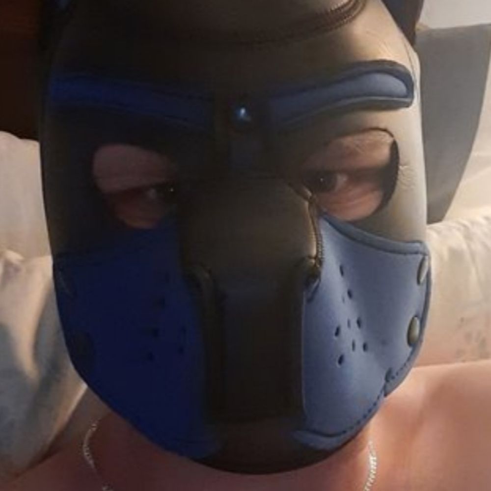 Pup Dexter