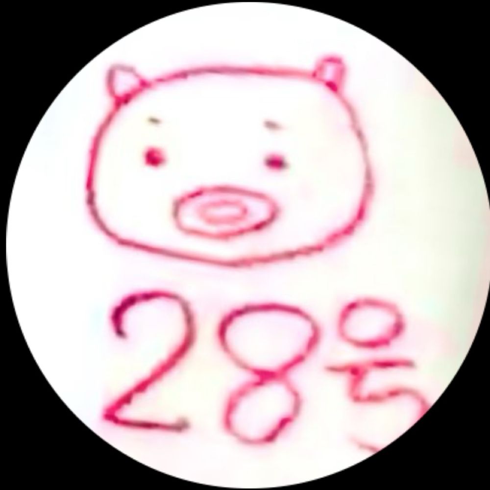 28号