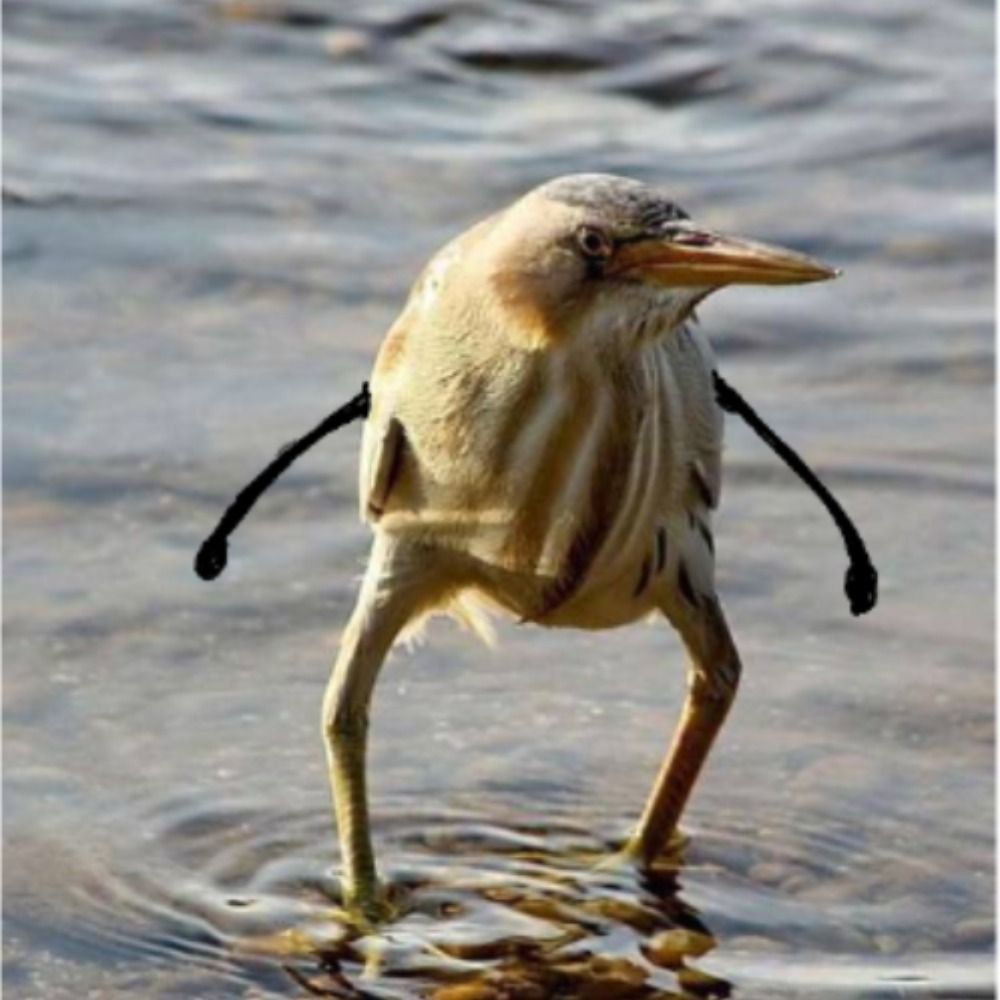 Sven, Persevering Biologist