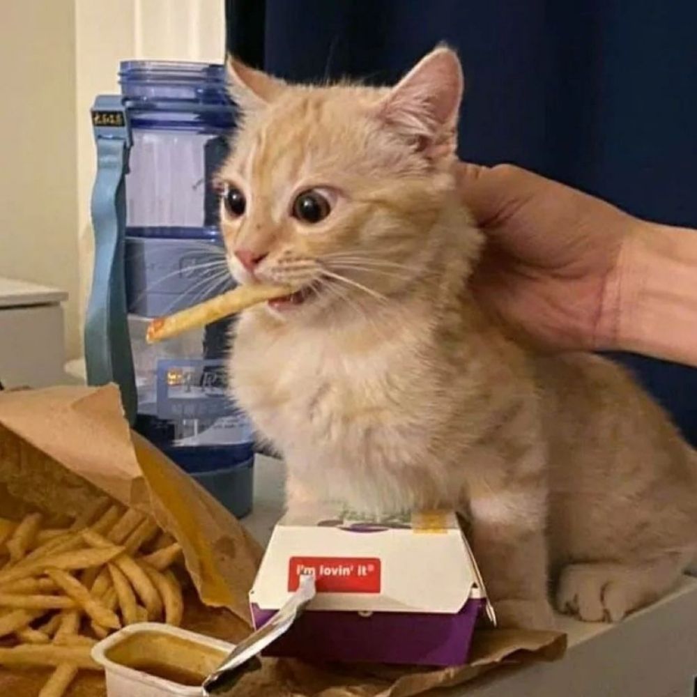 땽