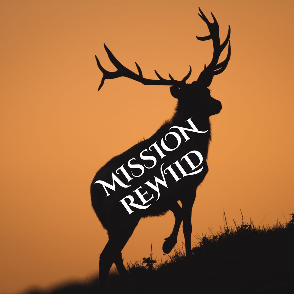 Mission Rewild