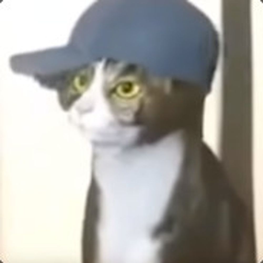 Dankyss