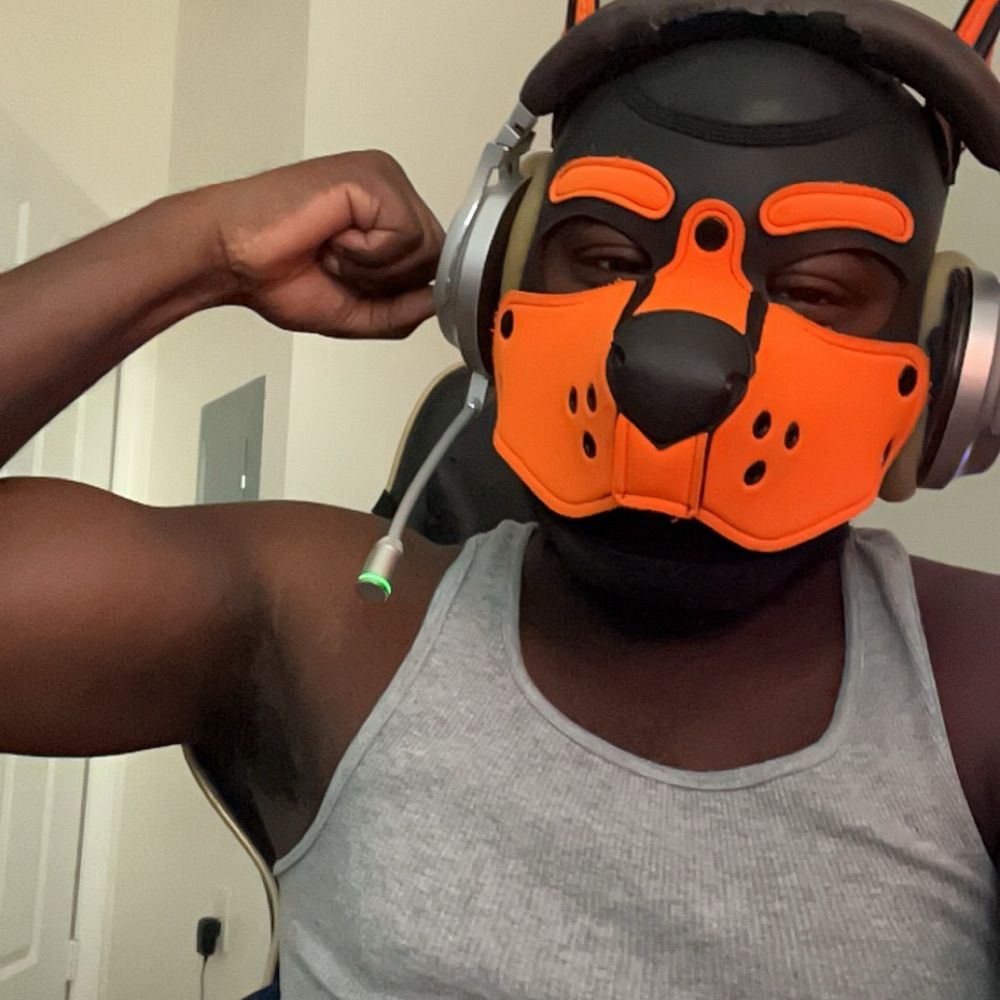PUP SYLAS
