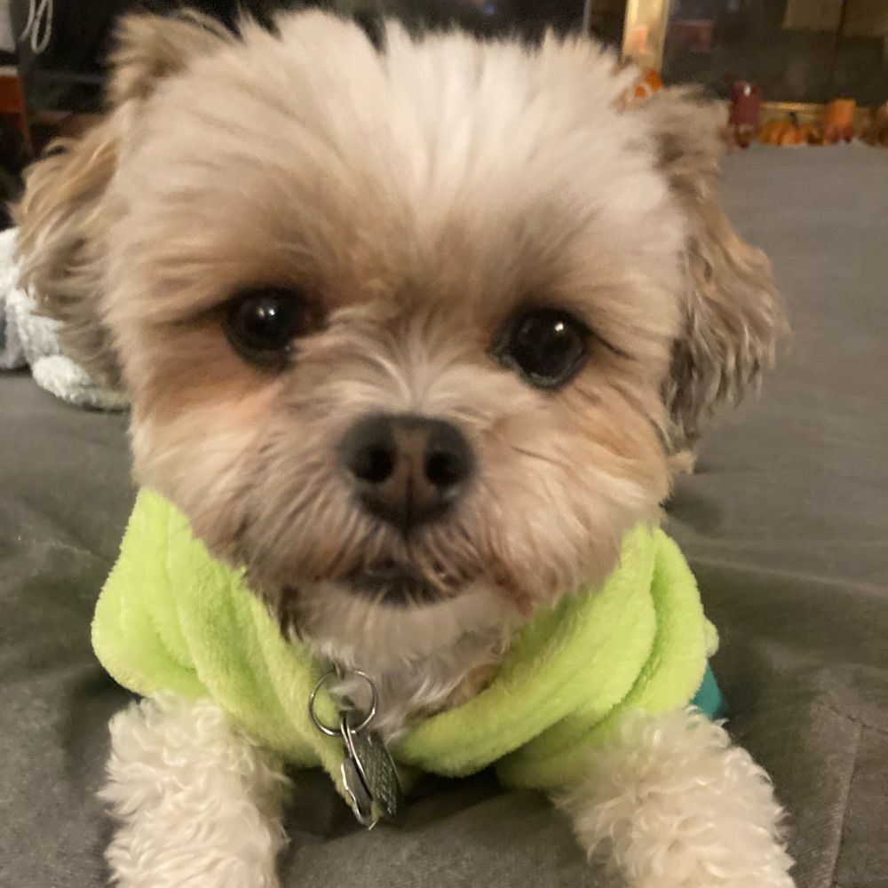 Sophie