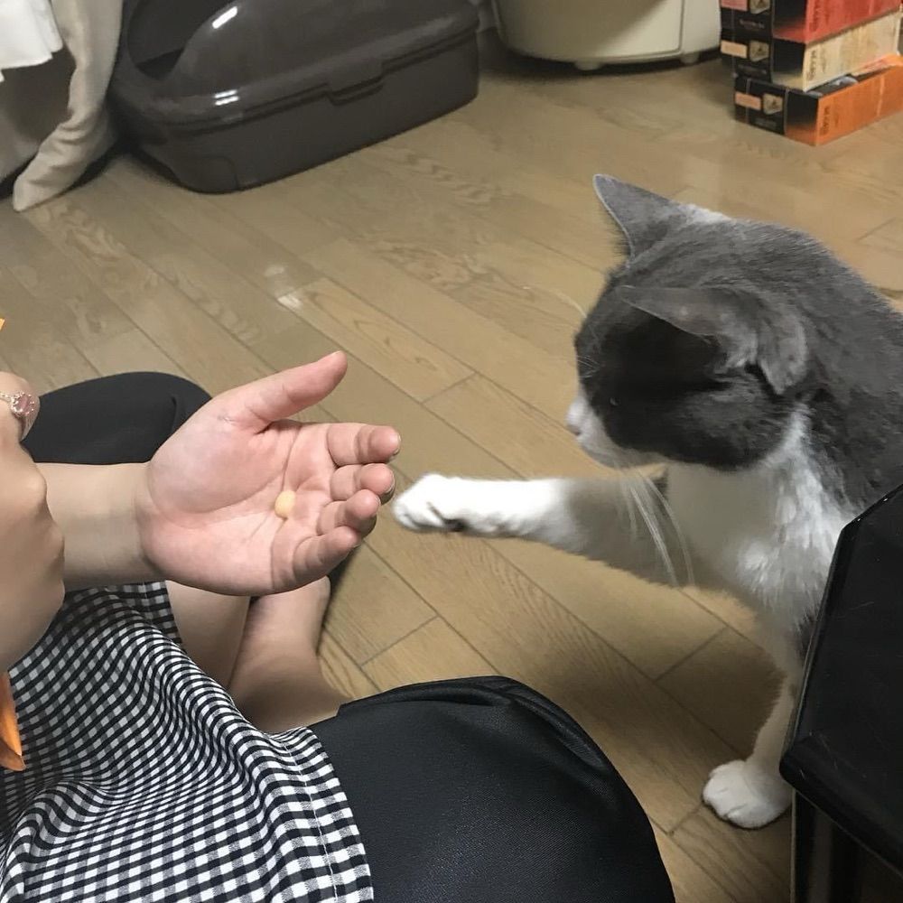 のの