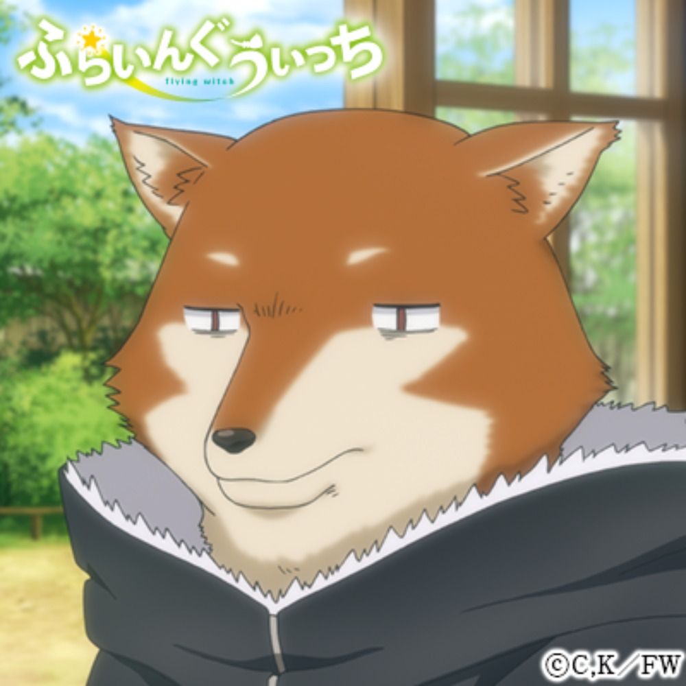 ツクツクホウシ