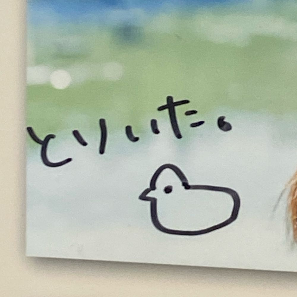 SBH⊿月民*