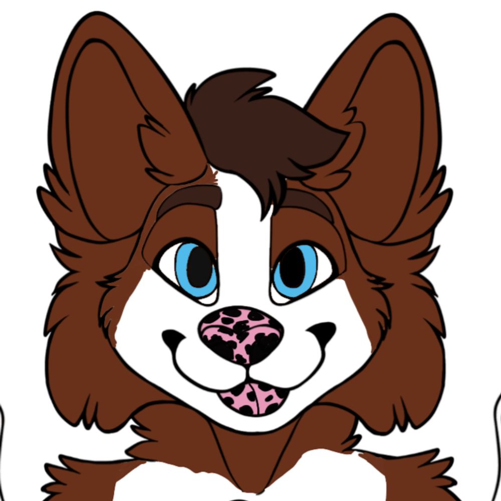 Collie! (The Border Collie)