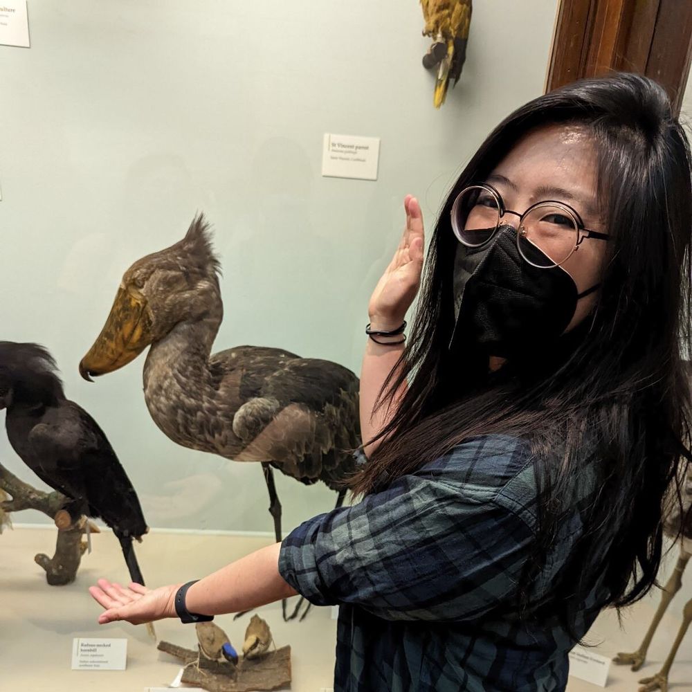 Diana Liao