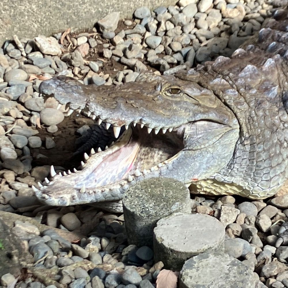 わむあき