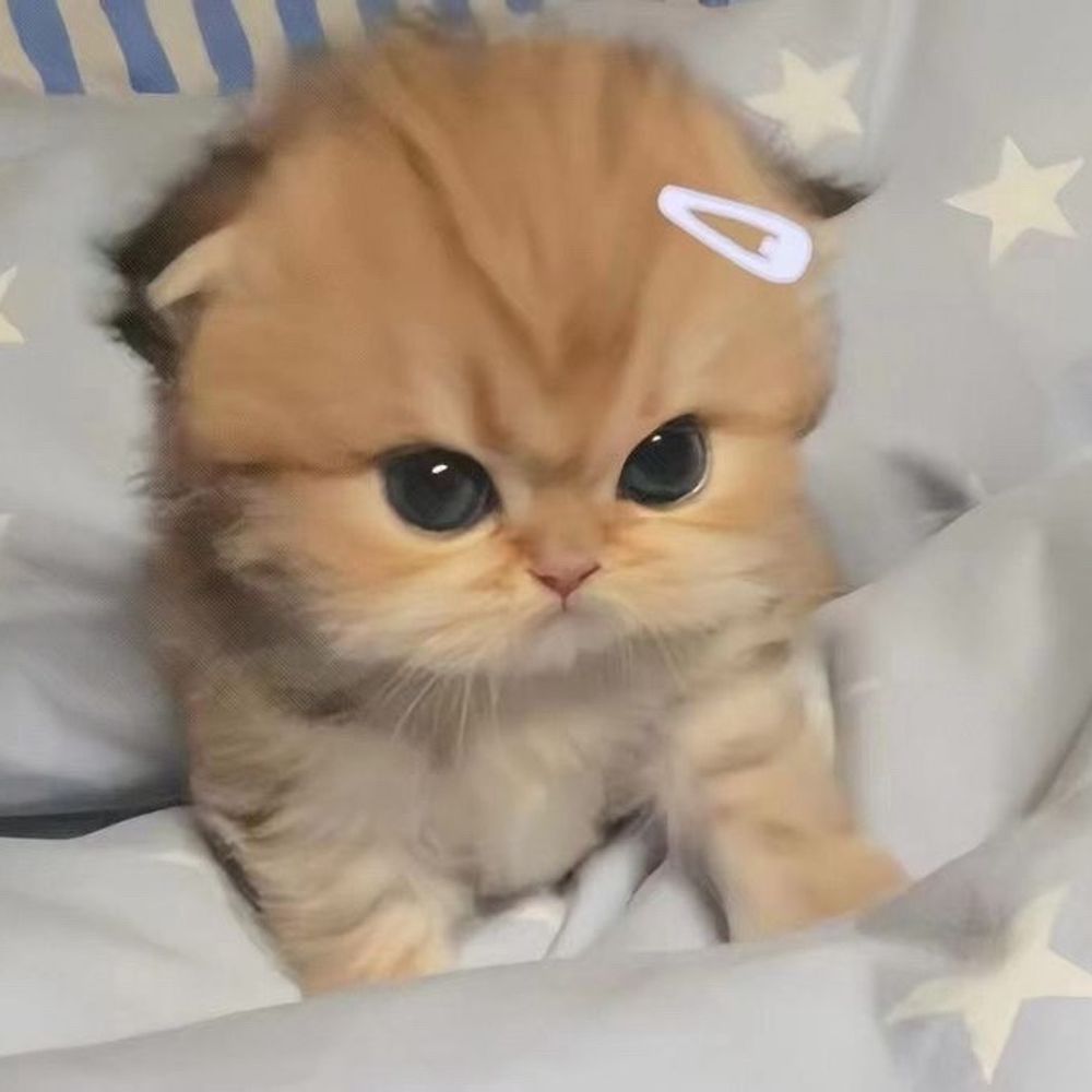 Mummipoko