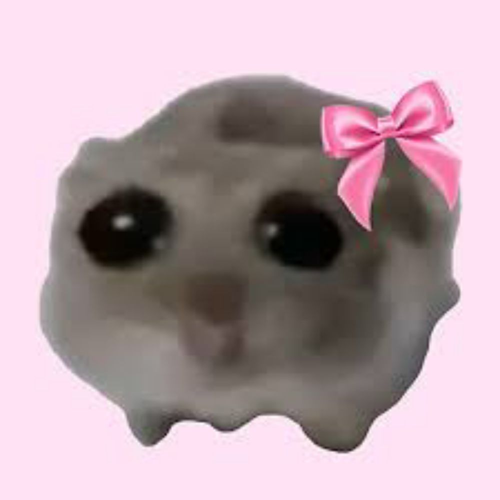 Sad hamster with a violin 🎻