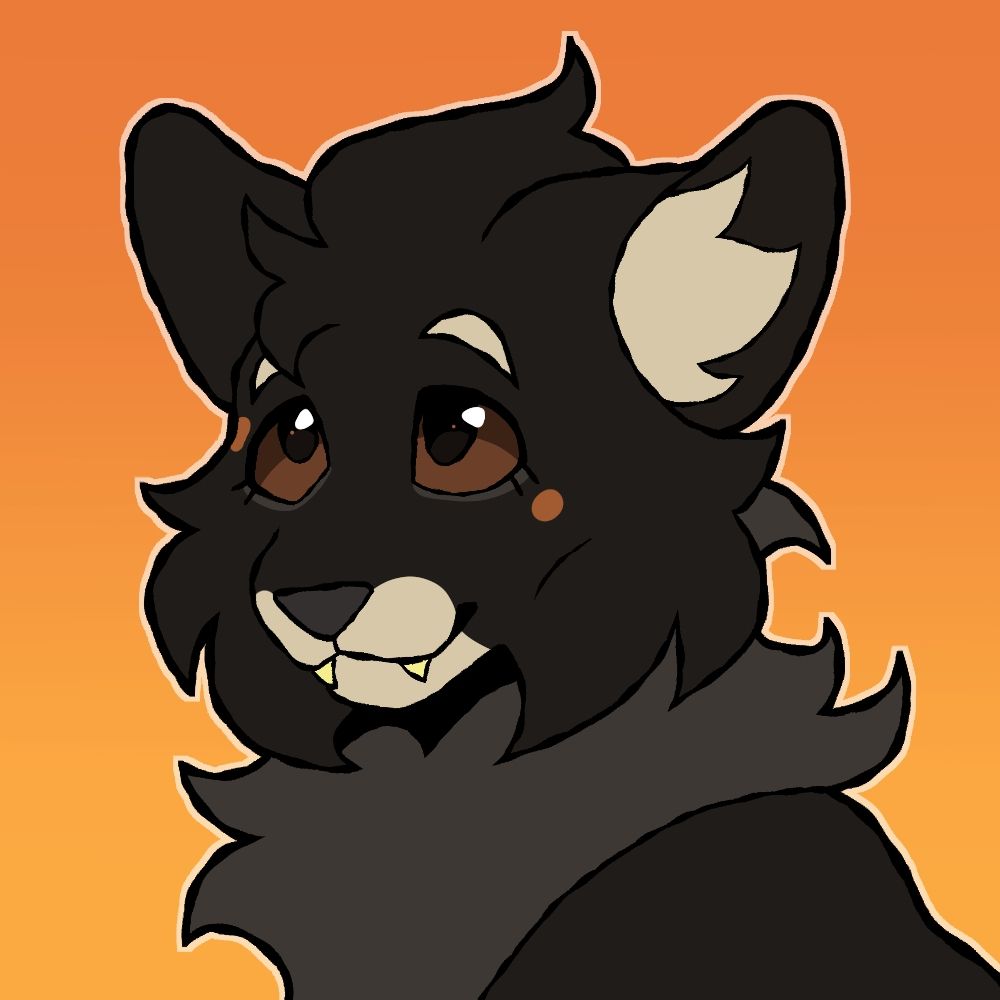 🦊 rowan 🌒