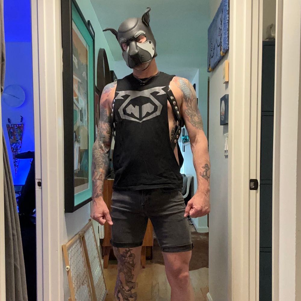 Pup_Grey