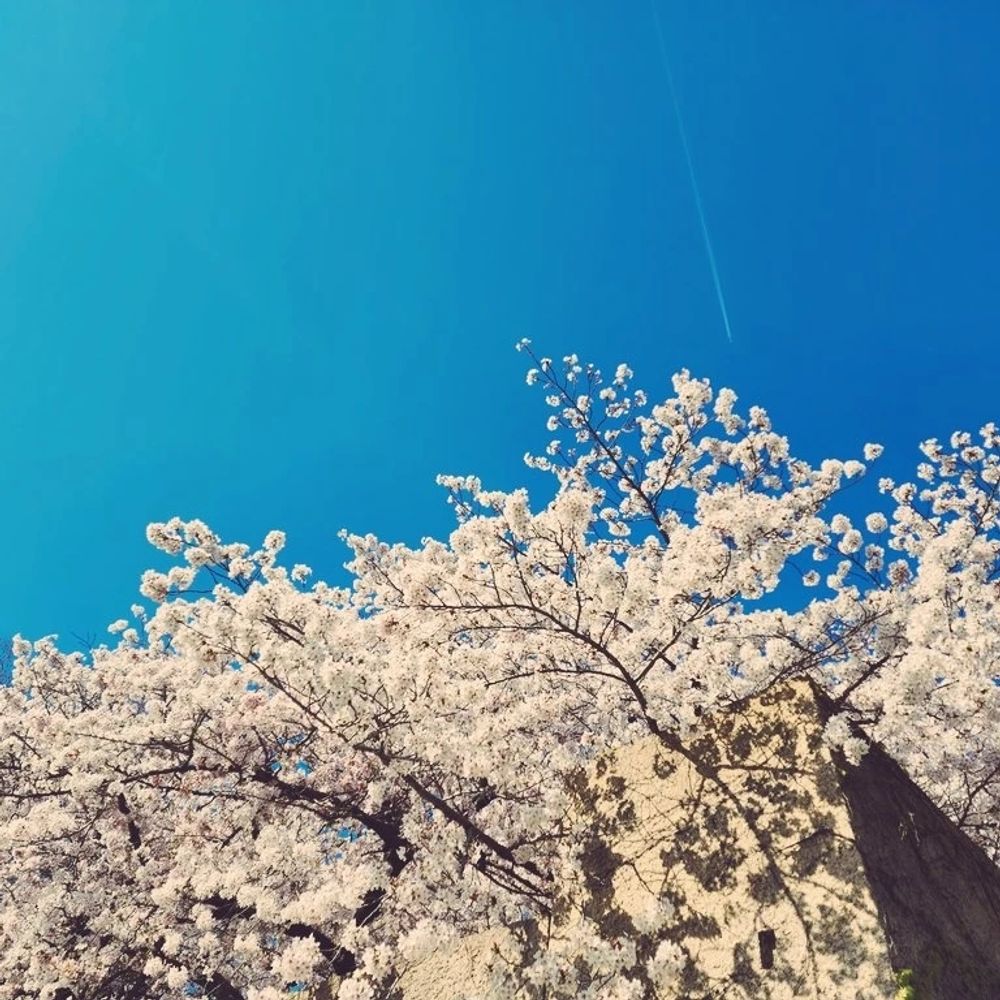 たかこ