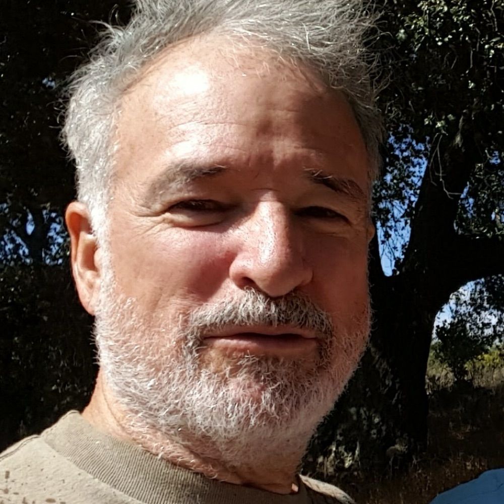 Paul Timothy Johnston
