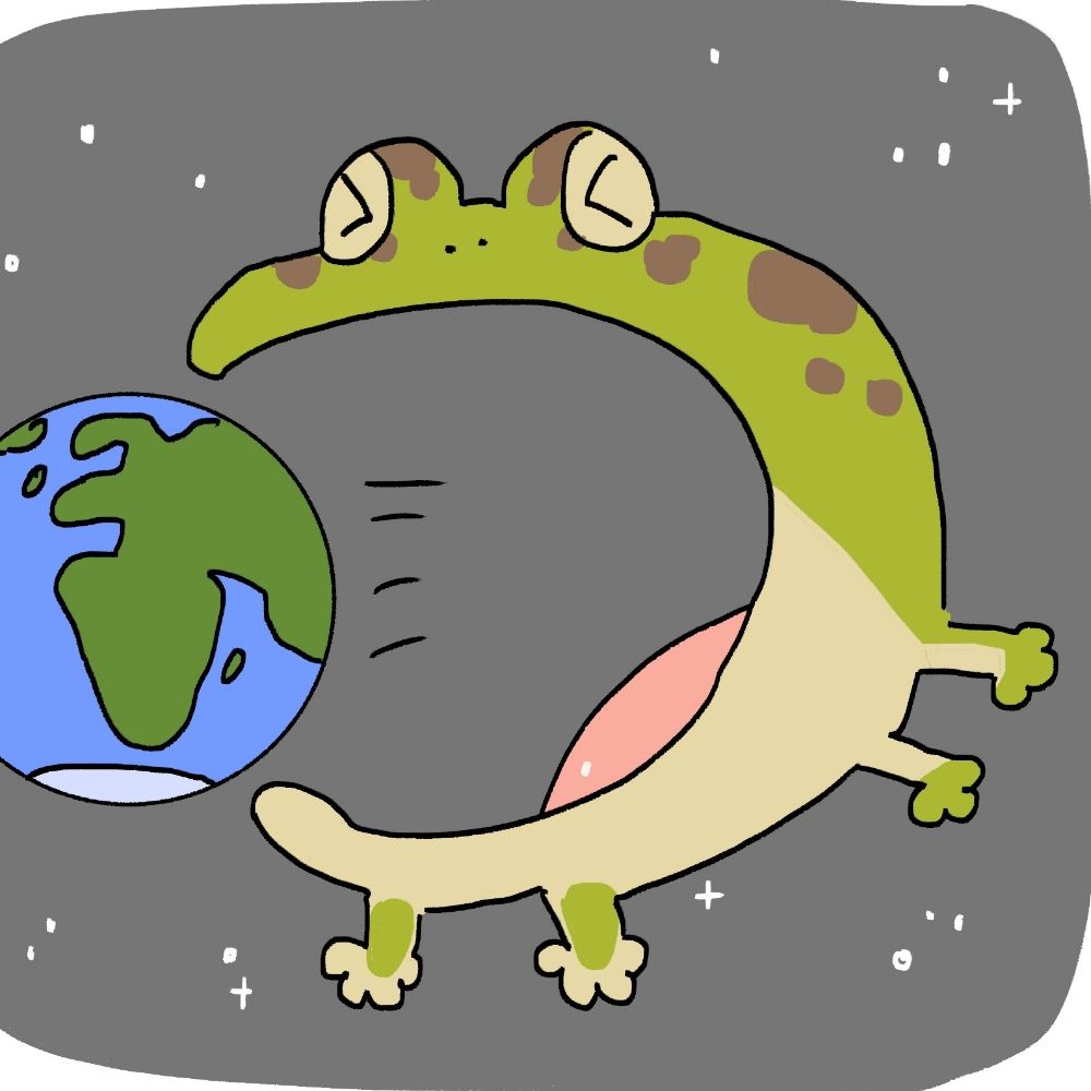 froggie 🐸