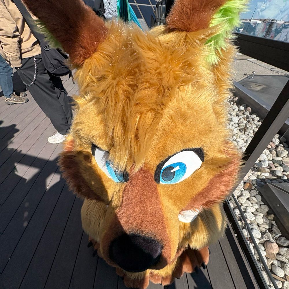 Sketch Dogo 🔜 Canfurence2025 🇨🇦🐾