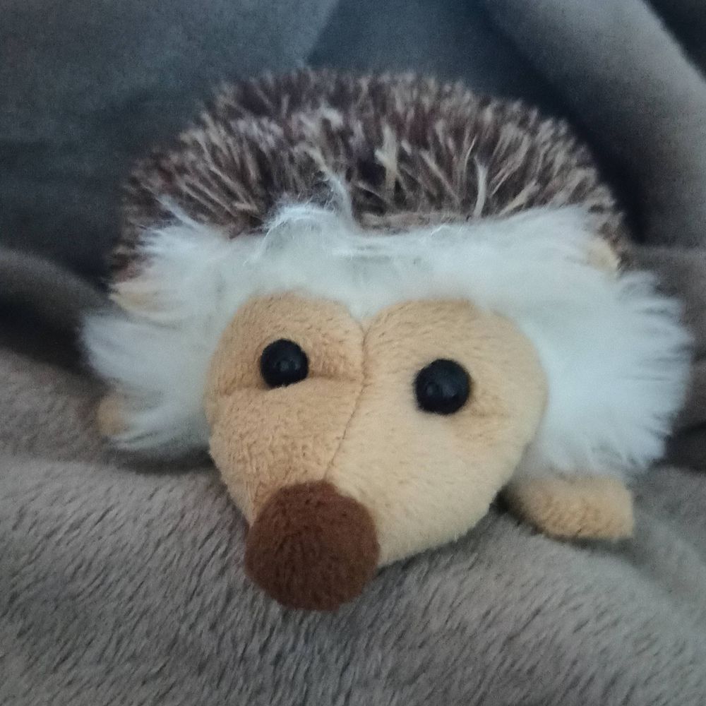 Meerbine