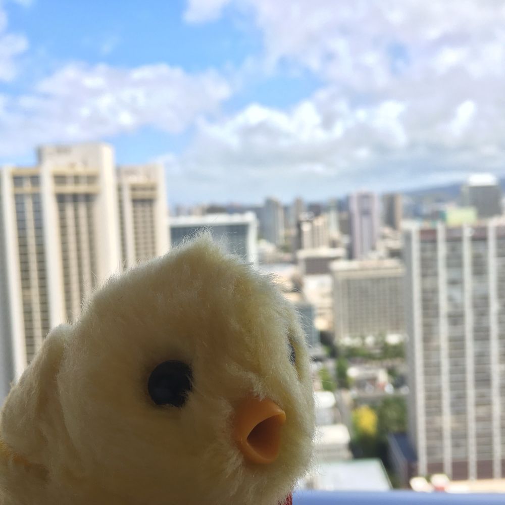 アノニ🐥