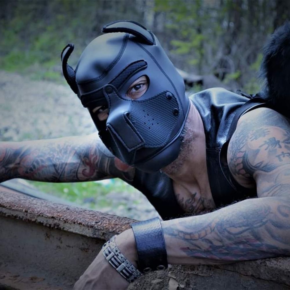 PUP HellHound