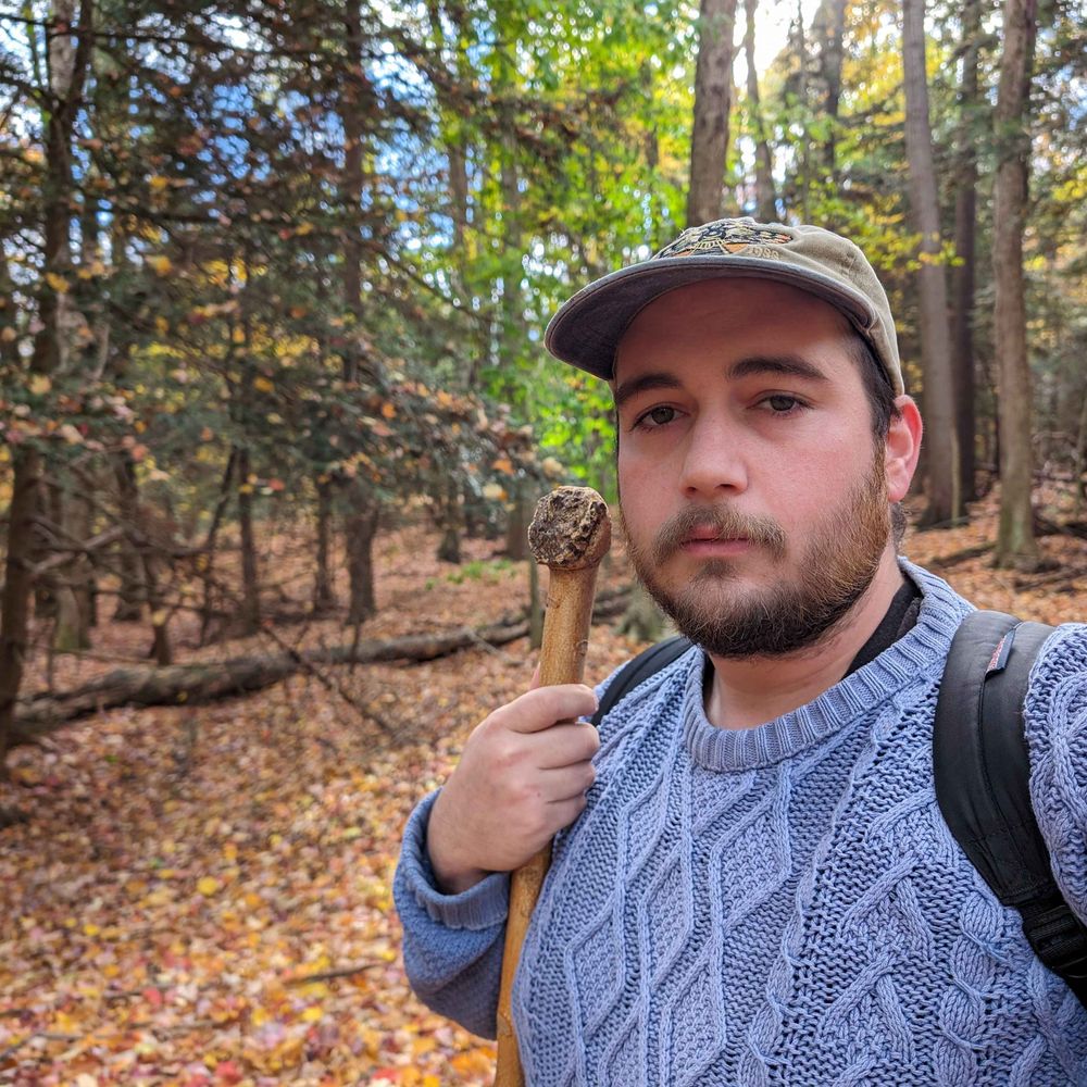 AnyWoods