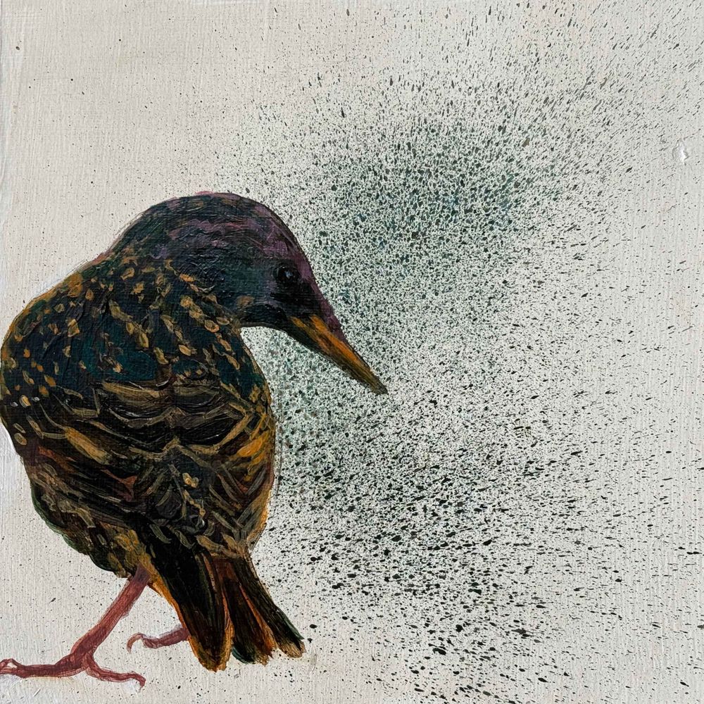Laure Stevens-Lubin