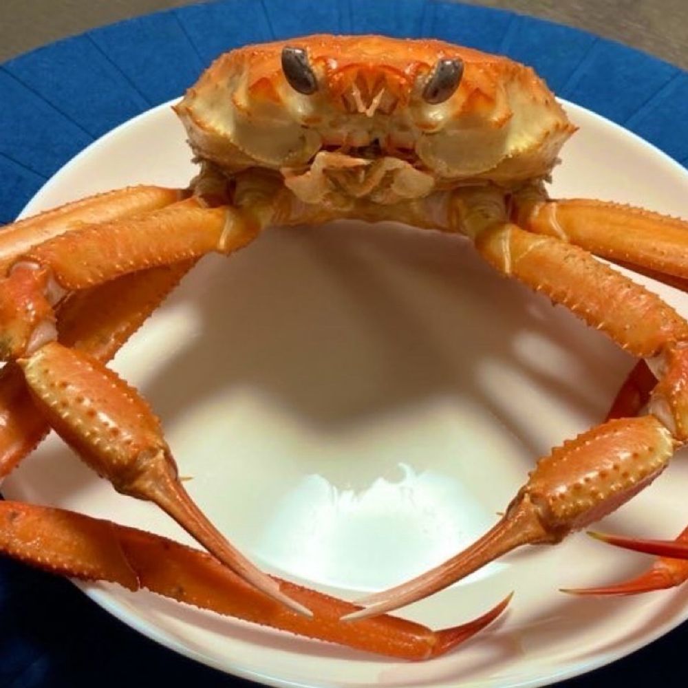 イチイチヤスコ