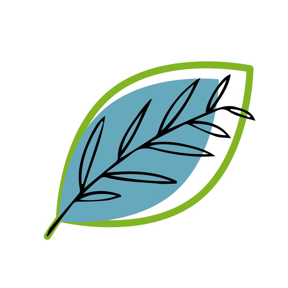 Ilka - More Than A Branch