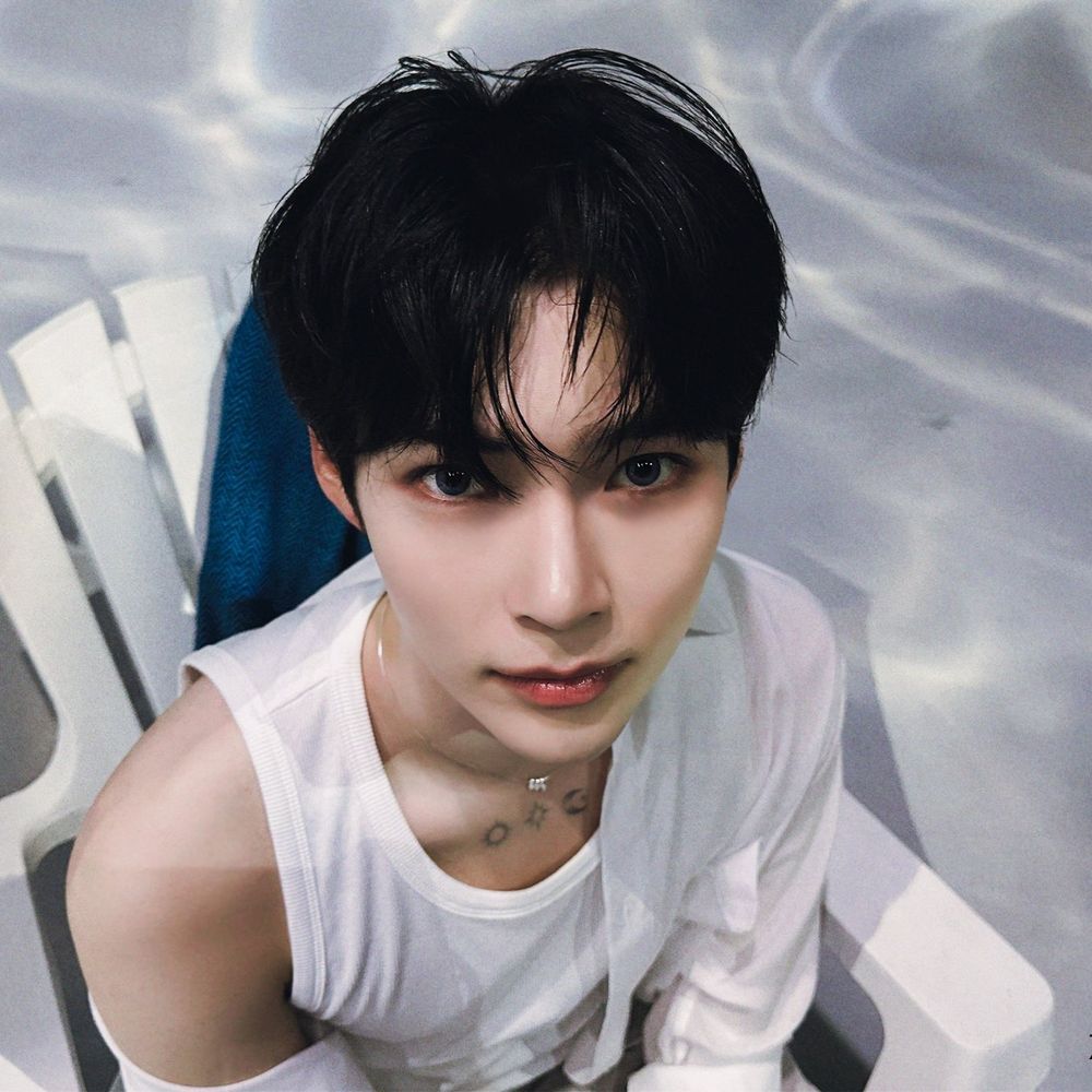ㅅㅎㅂ