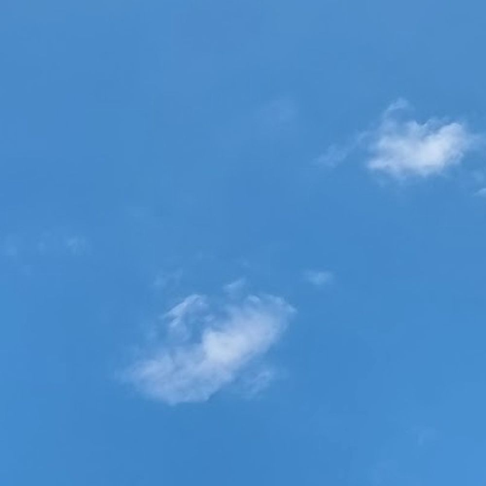 hourly bluesky users