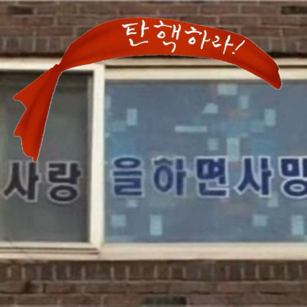 뚜뚜🏳️‍🌈(솜솜이 경력직)