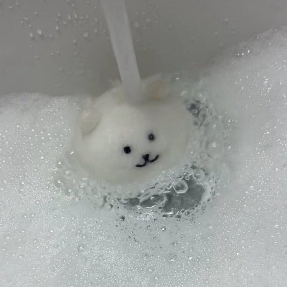 파이