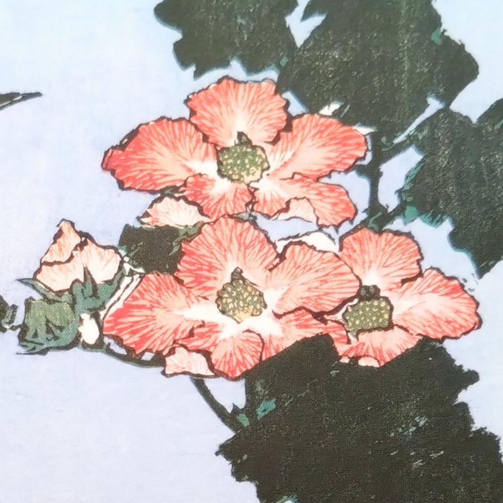 砂消