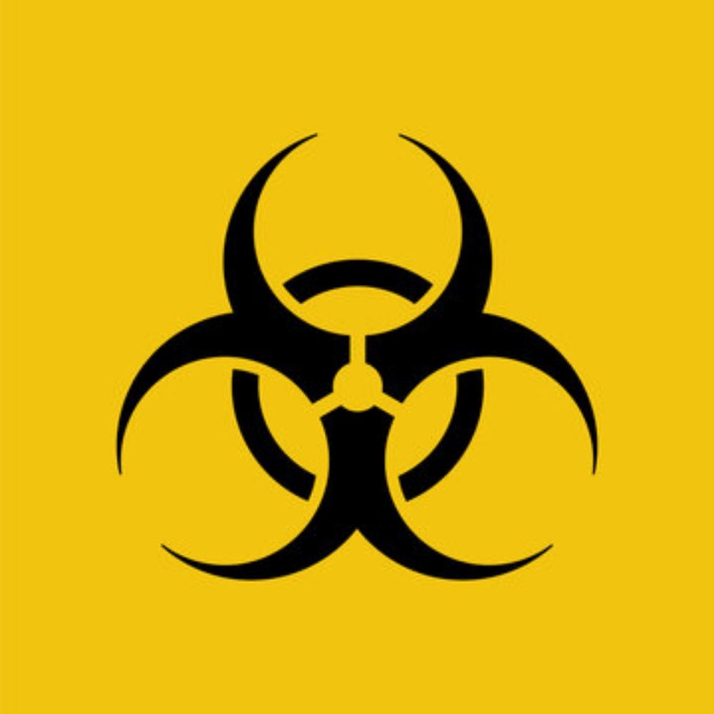 BugChasingOtter