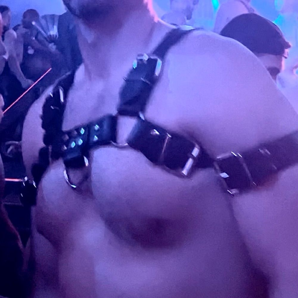 Dom In Chicago